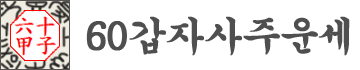 60갑자사주운세
